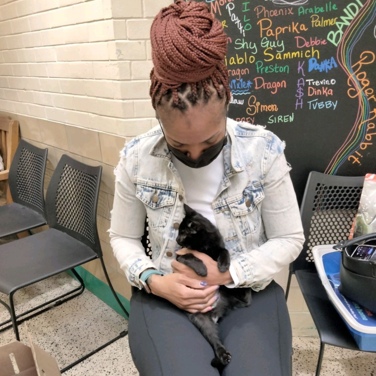 woman holding a kitten