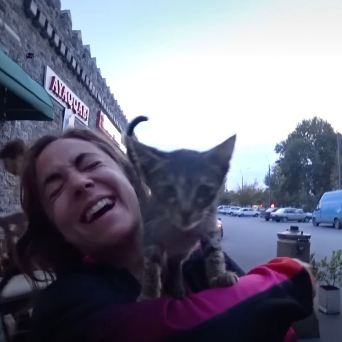 woman holding a kitten