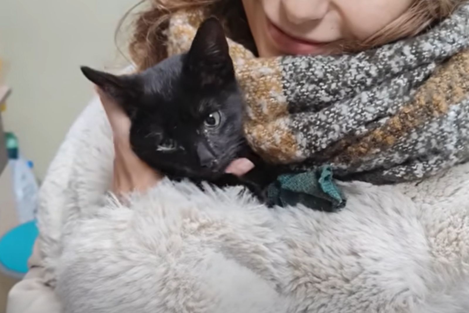 woman holding cat under scarf