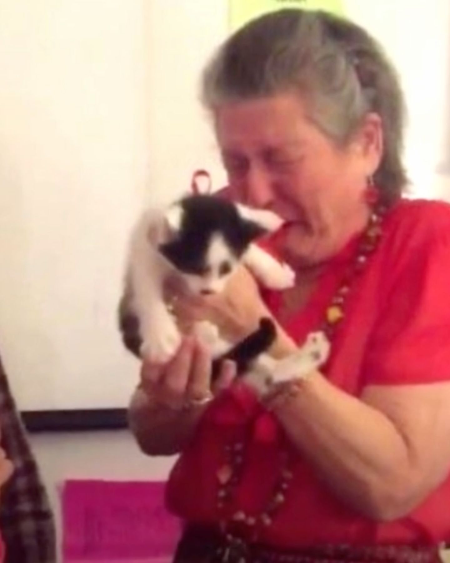 woman holding cute cat