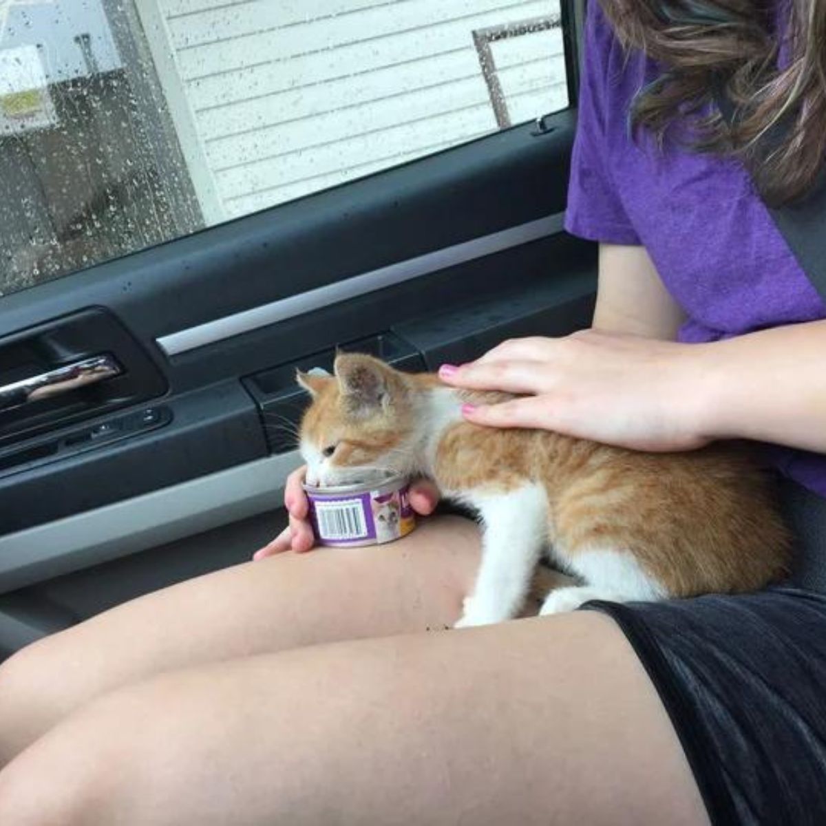 woman holding kitten and food