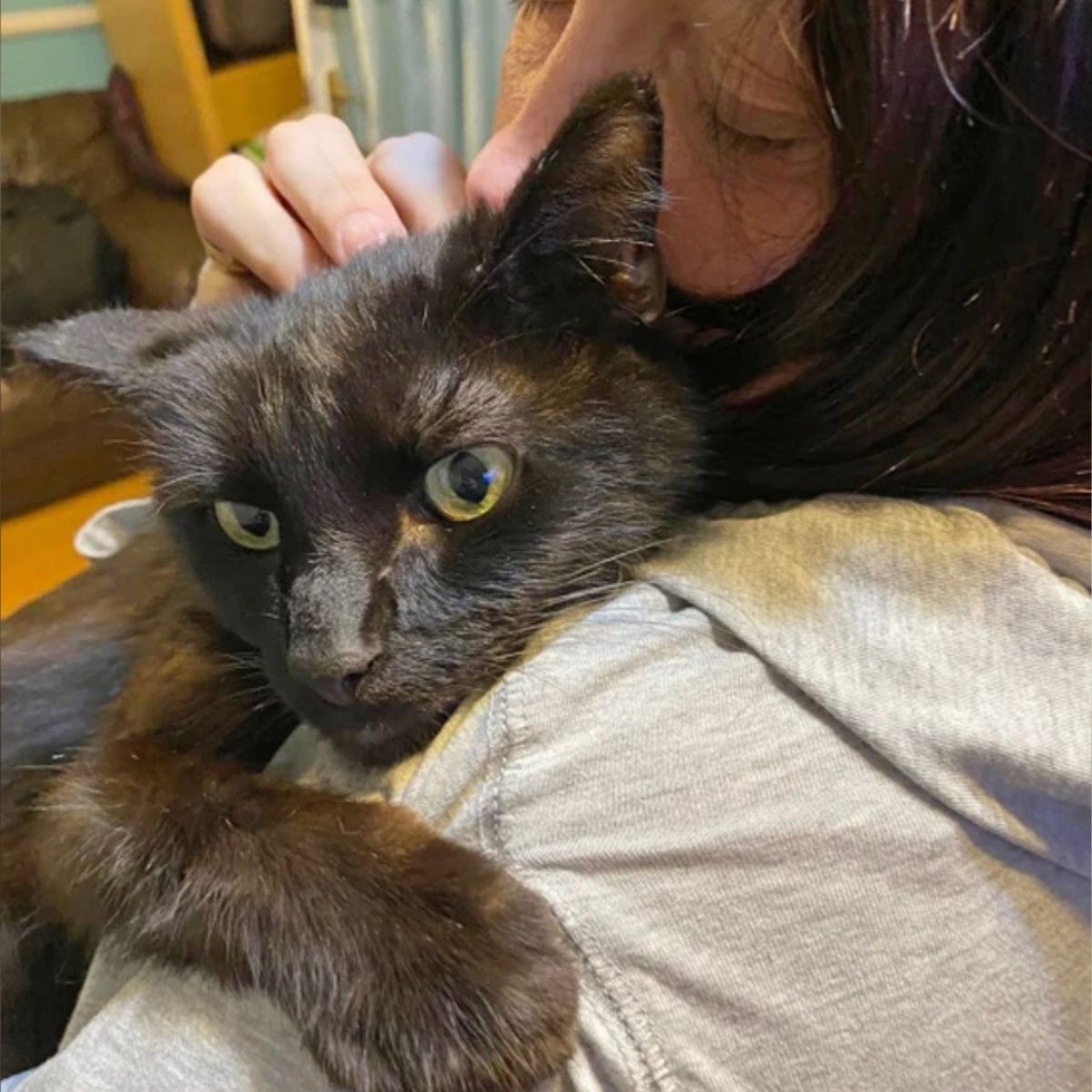 woman hugging black cat