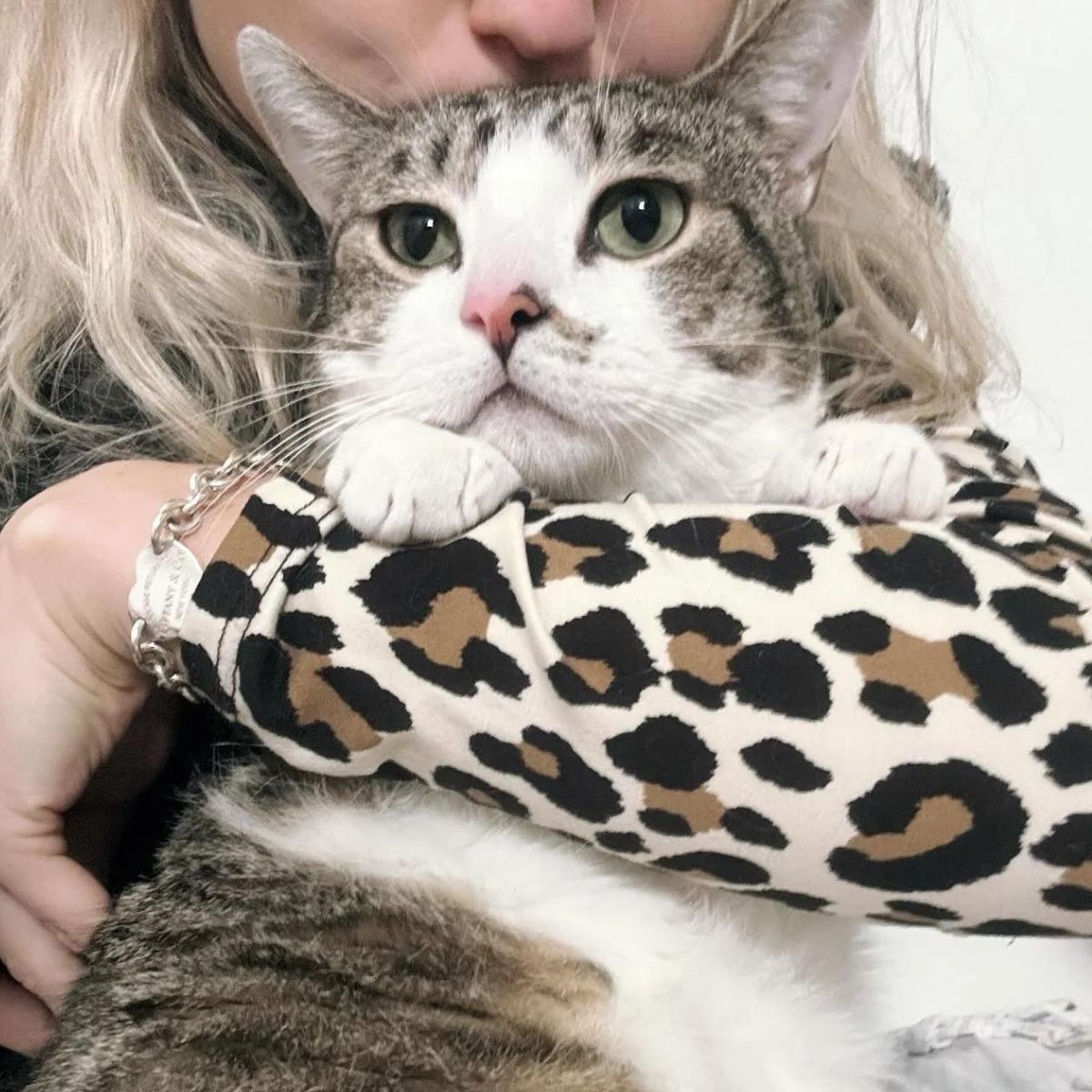 woman kissing cat