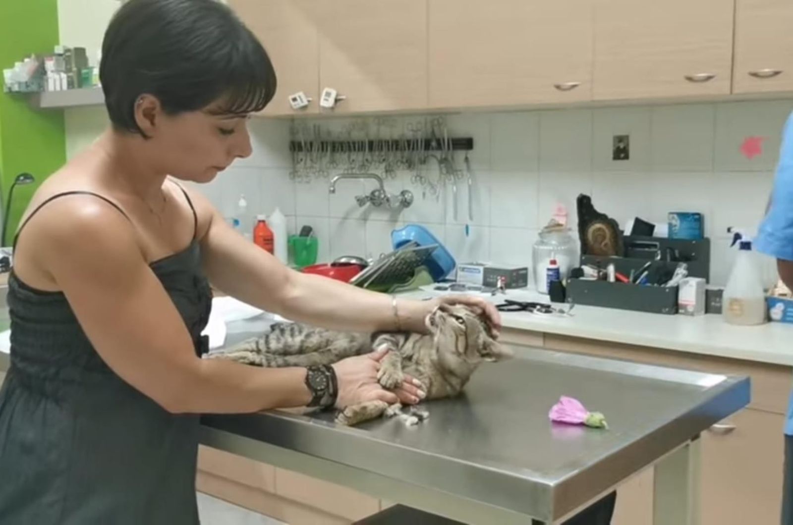 woman looking at the injured cat