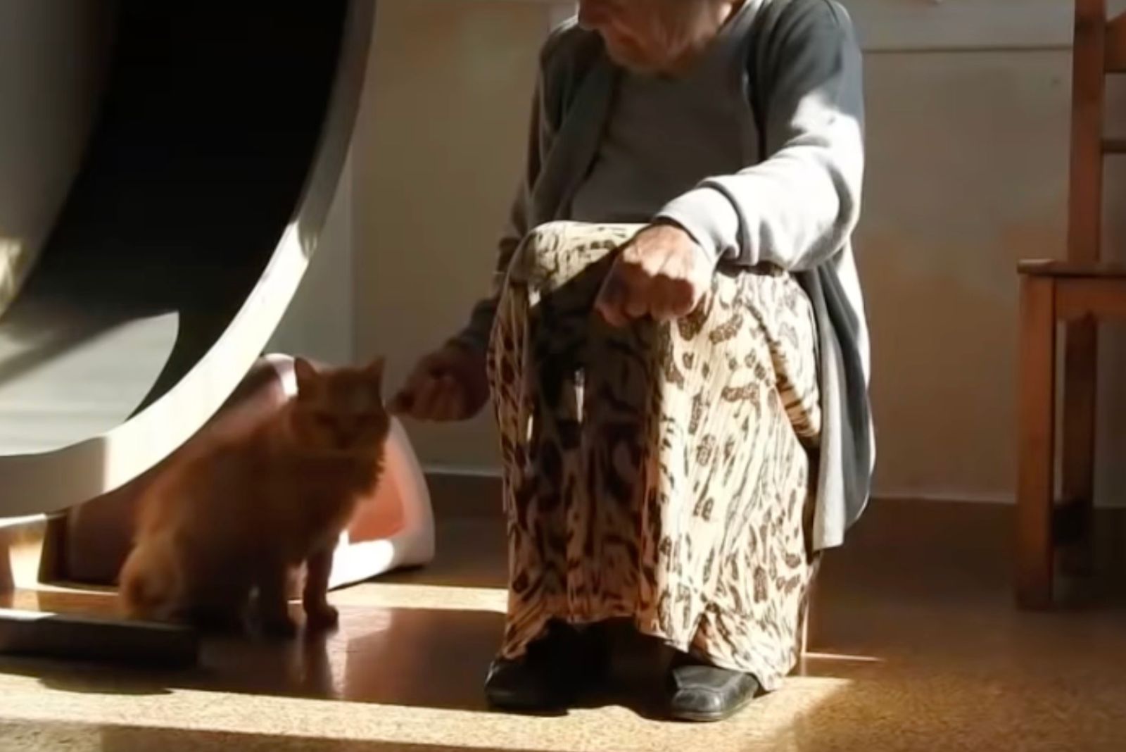 woman sitting next to a cat