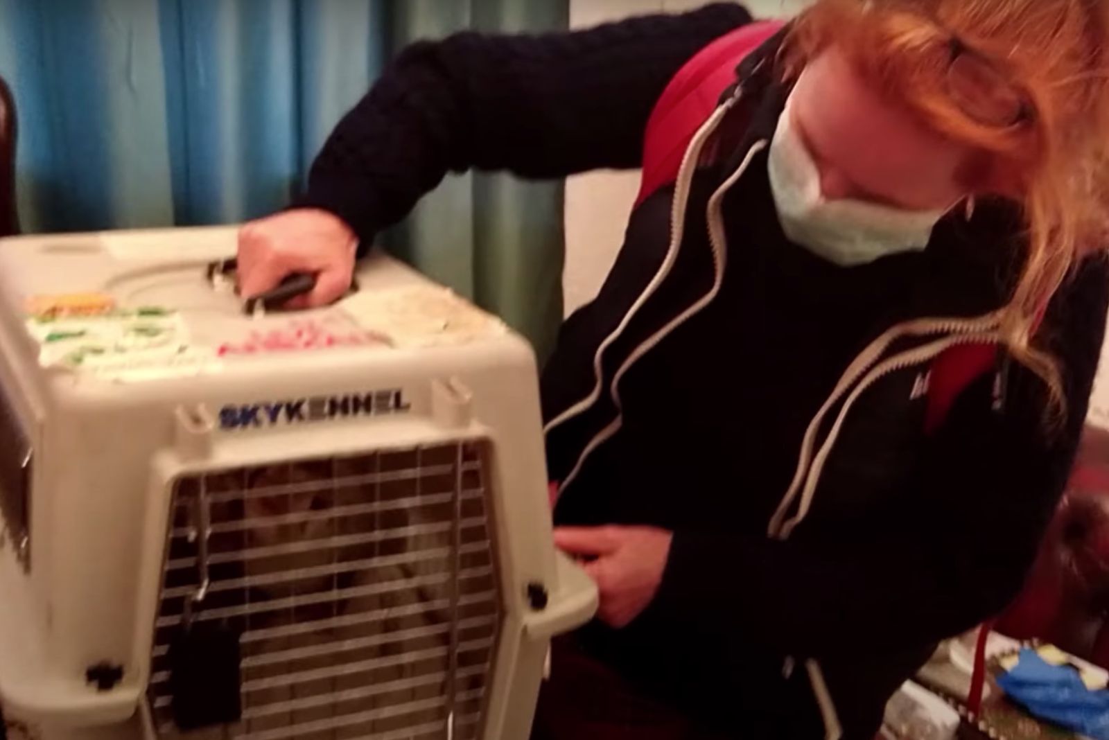 woman with a mask on the face saving a cat