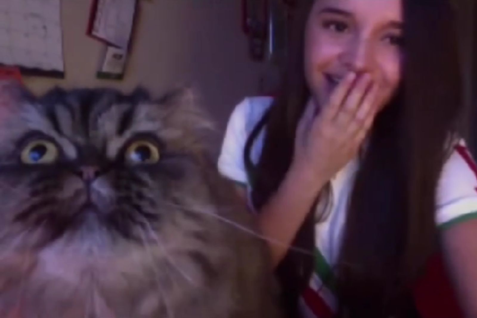 young woman smiling because of the cat