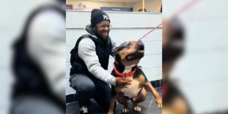 Missing Pup Couldn’t Contain His Joy When He Finally Reunited with His Human After Weeks