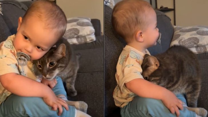 The Bond Between This Cat And A Baby Is The Sweetest Thing You’ll See Today