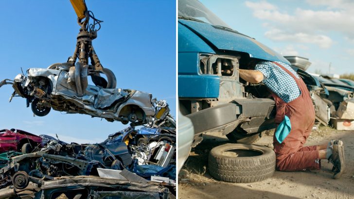 Cat Rescued From A Junkyard Car Seconds Before The Car Was Crushed