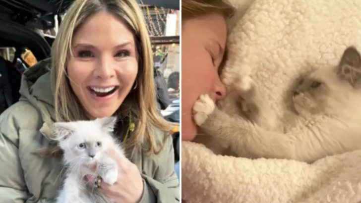 Famous TV Host Jenna Bush Hager Adopts Kitten And Finds Hilarious Way To Cope With Cat Allergy