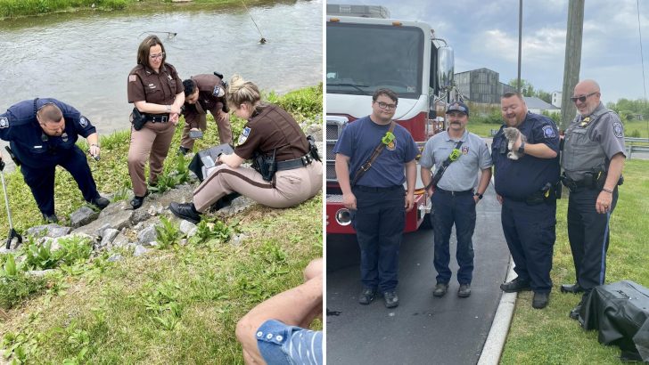 Policemen, Firefighters, Locals All Come Together To Rescue A Kitten Stuck Underneath Boulders