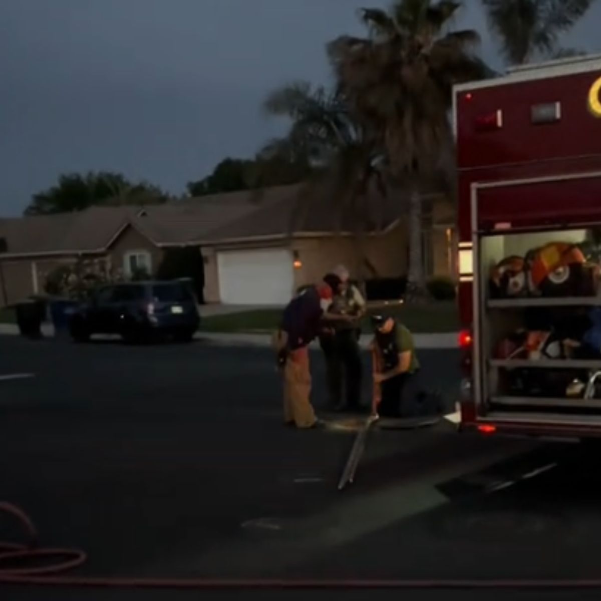 firefighters helping a kitten