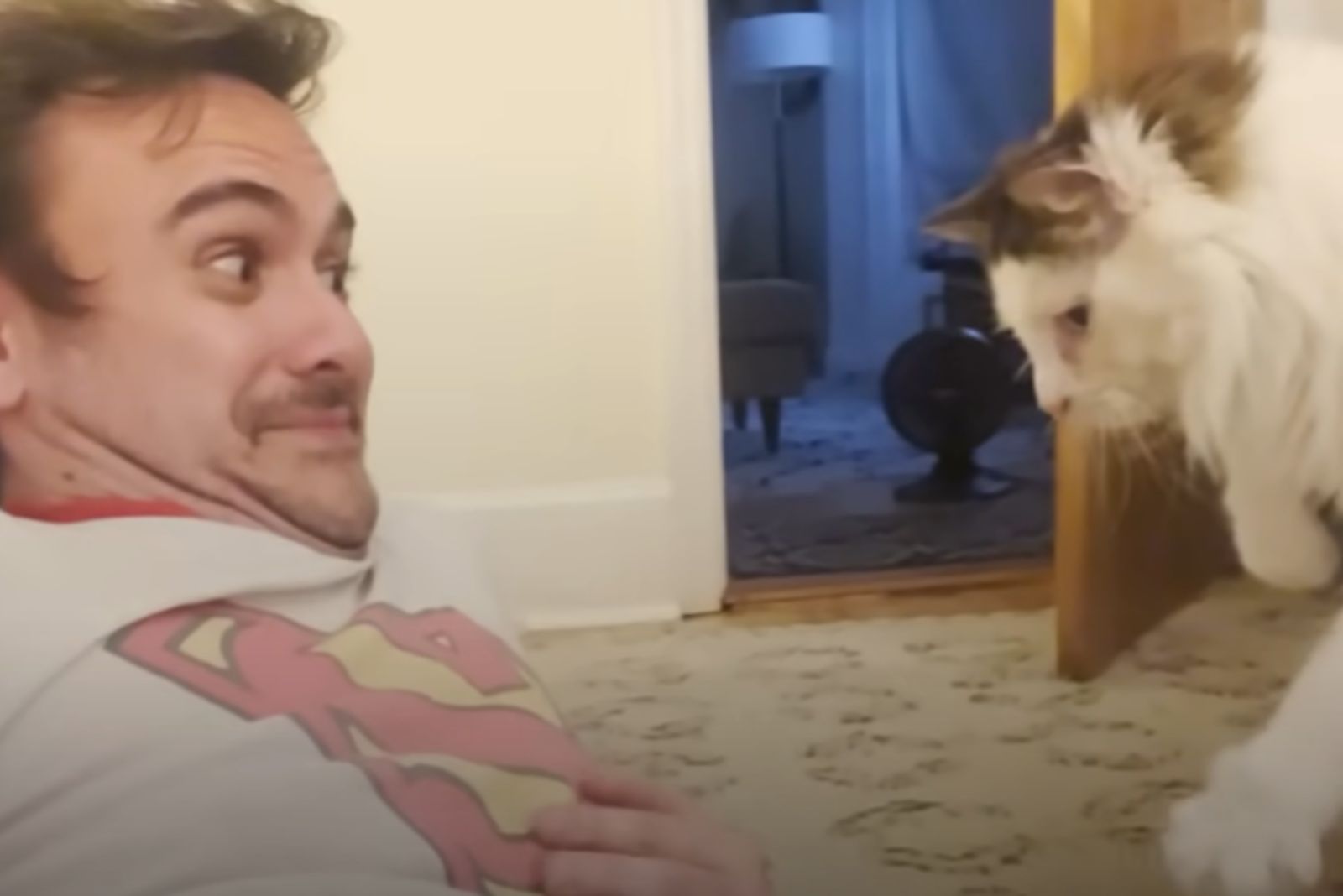 funny man and cat