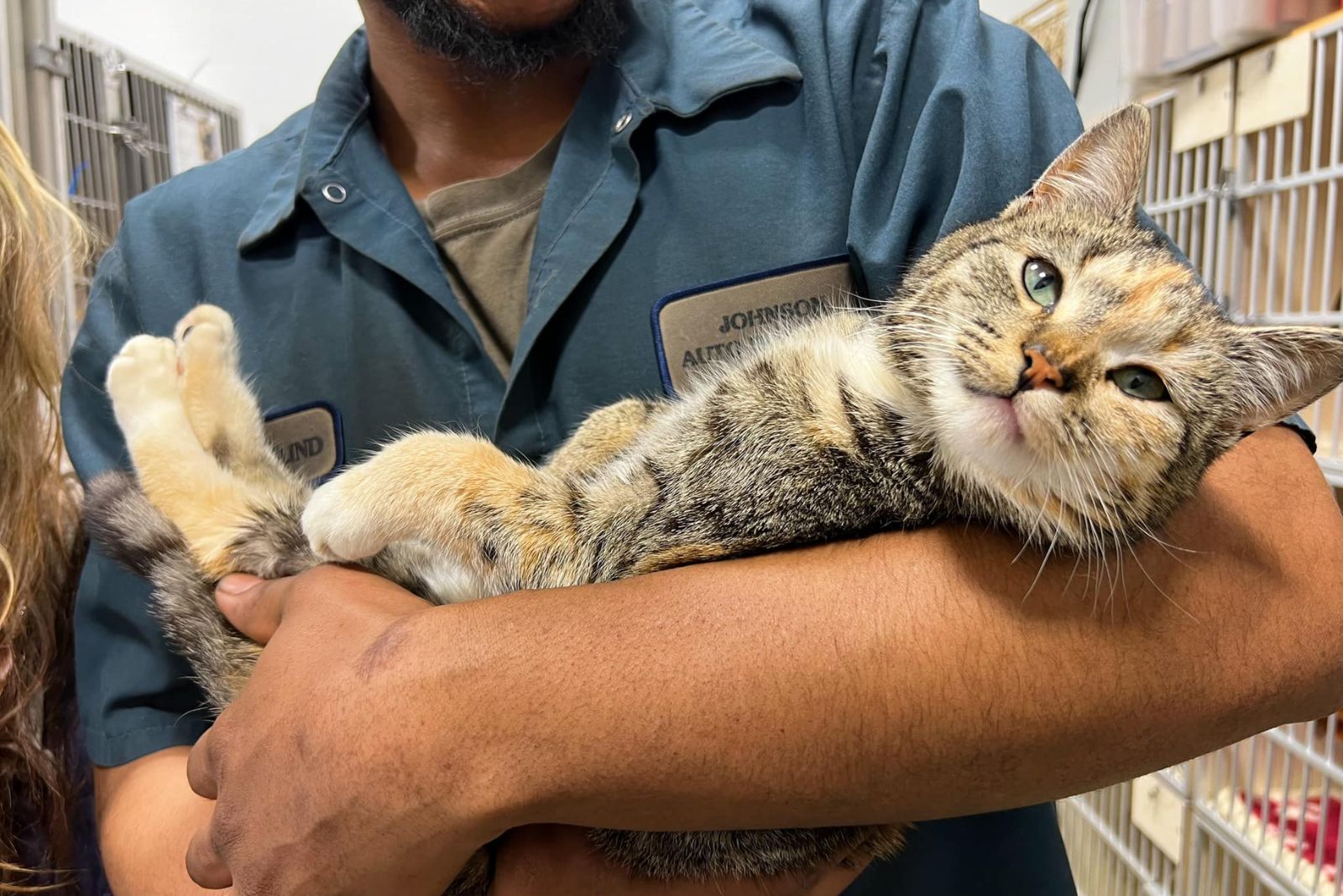 guy holding a cat on a junkyard