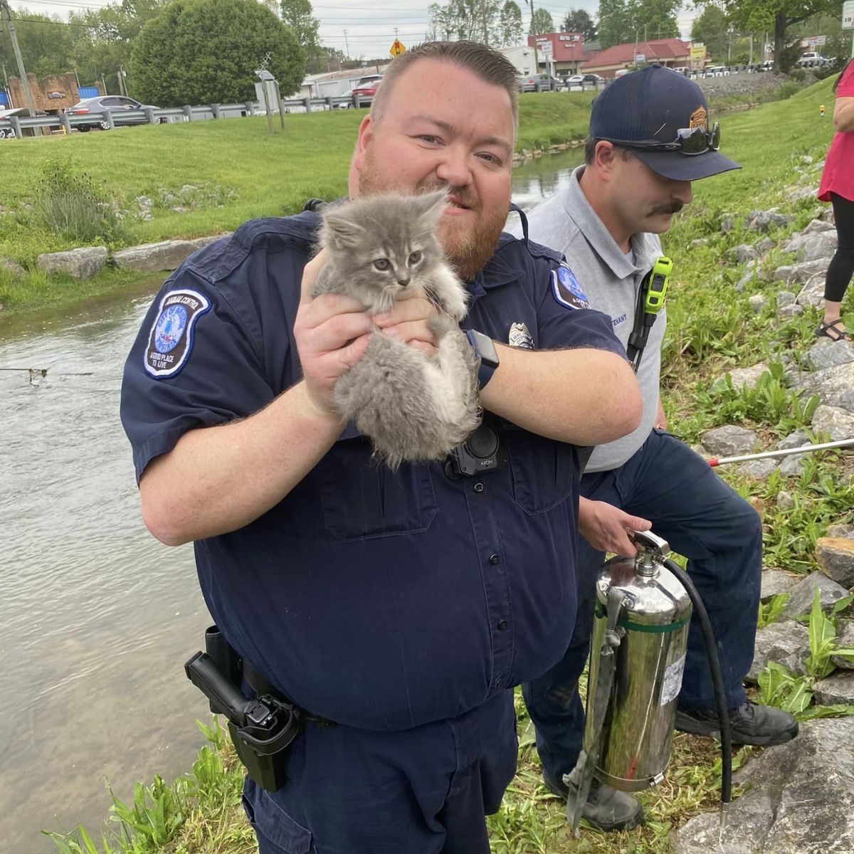 officer and kitten