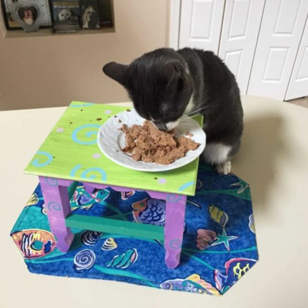 sweet kitten eating