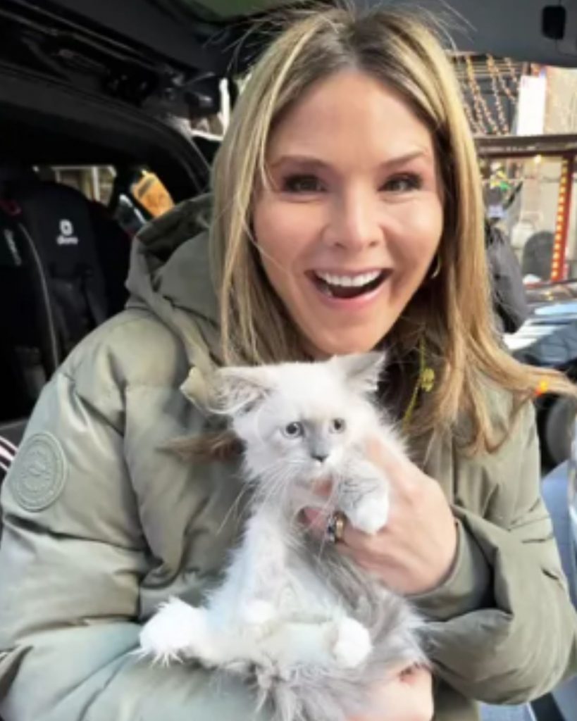 woman holding a gray kitten