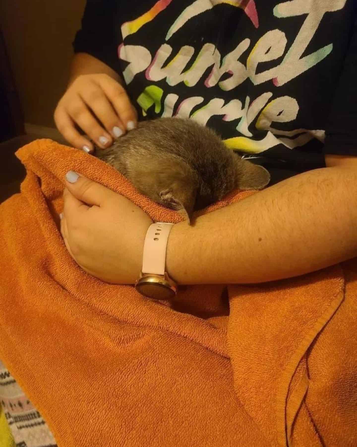 woman petting cat on an orange towel