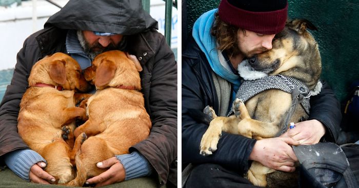 49 Photos That Prove Dogs Love You No Matter How Much Money You Don't Have | Bored Panda