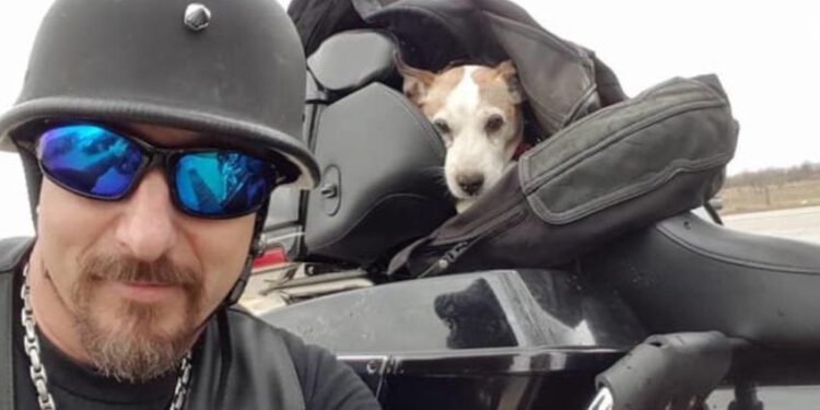 Biker Sees Dog Being Abused on the Side of the Road and Immediately Stops to Help