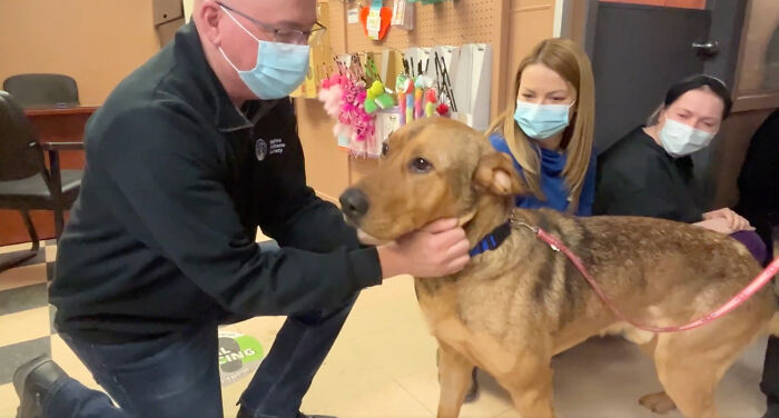 Heartwarming Video Showing Shelter Dog Saying Goodbye To Staff Members After Being Adopted