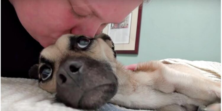 He Decided She Didn’t Deserve to Eat, But They Fought to Give Her the World