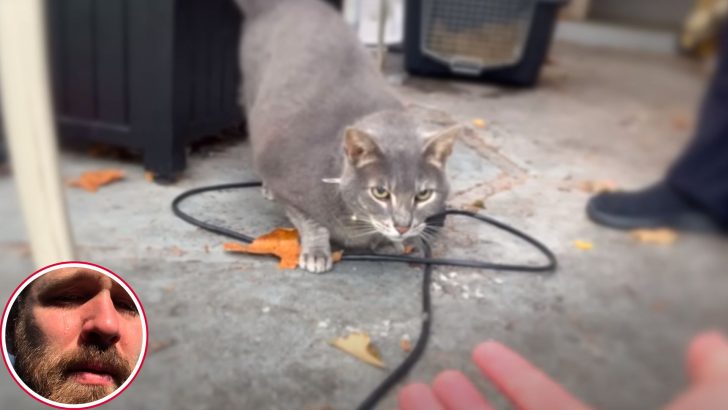 Man Reunites With His Beloved Cat Who’d Been Missing For 6 Years Only To Realize It’s Too Late