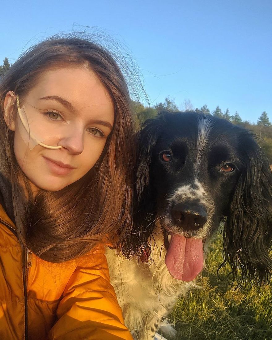 A Girl With A Disability Has The Most Adorable Helper – A Springer Spaniel Named Ted (17 Pics) | Bored Panda