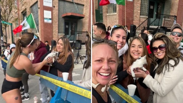 Drama Unfolds At Chicago Marathon As Runner Stops The Race To Rescue A Kitten In Distress