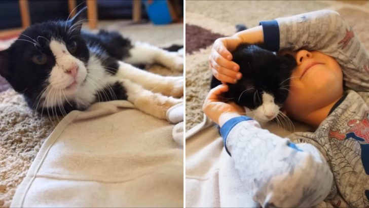 Utah Family Adopts An Abandoned 20-Year-Old Cat And Makes His Golden Years Truly Golden