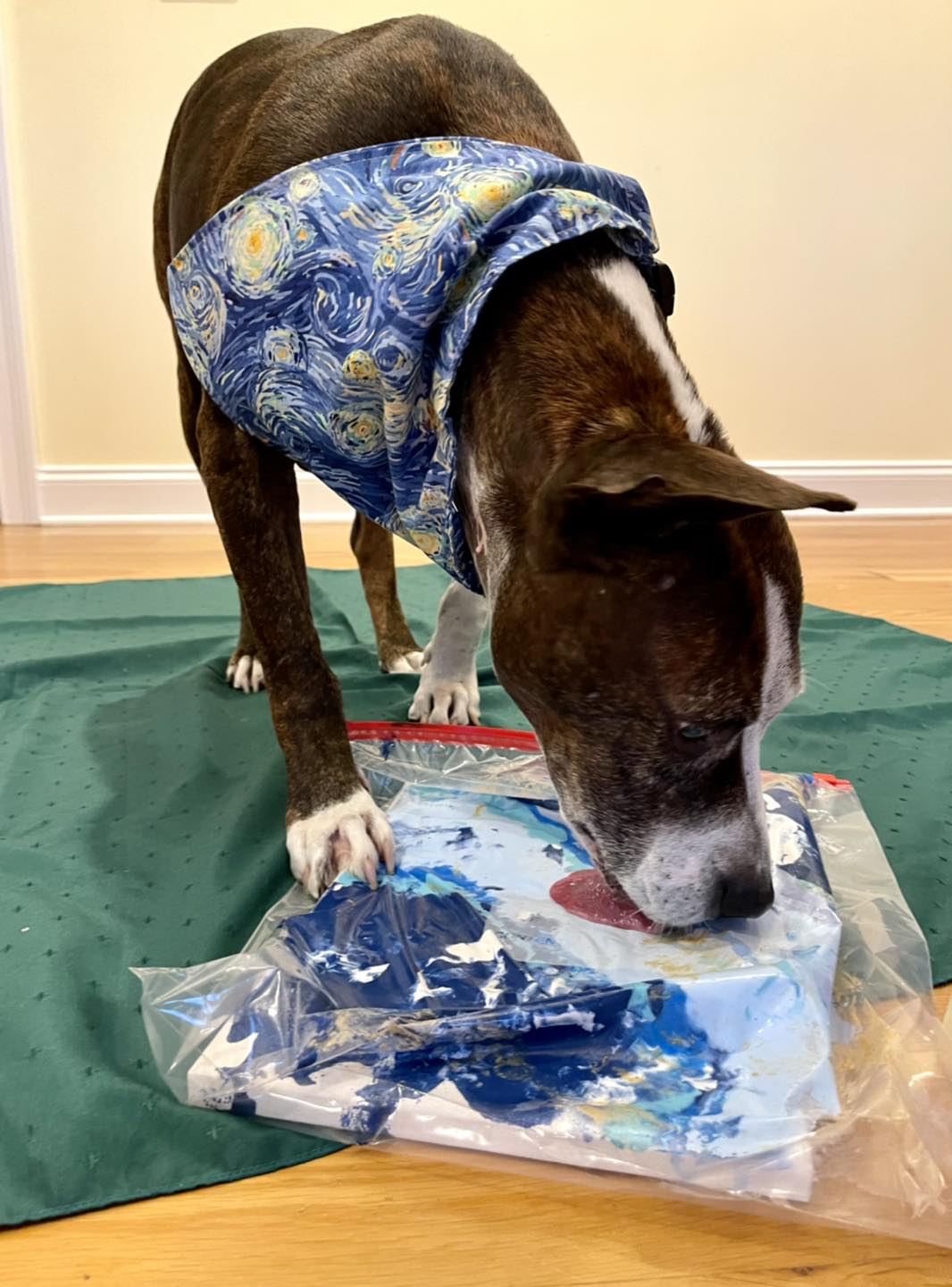 Van Gogh licking peanut butter off bag to make art