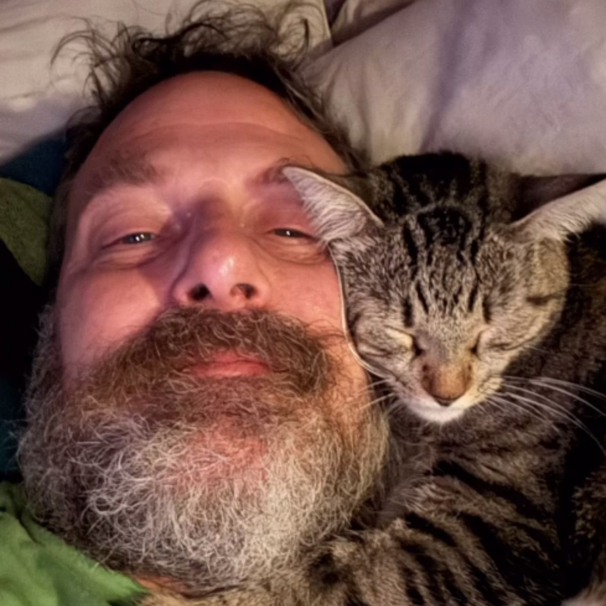 a cat cuddling with man