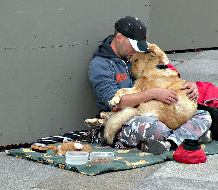 49 Photos That Prove Dogs Love You No Matter How Much Money You Don't Have | Bored Panda