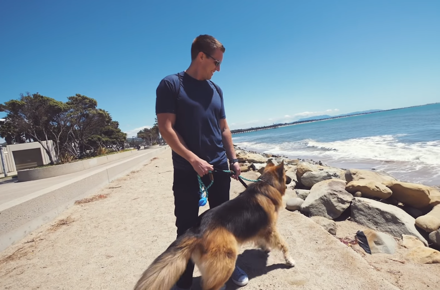 herschel at the beach