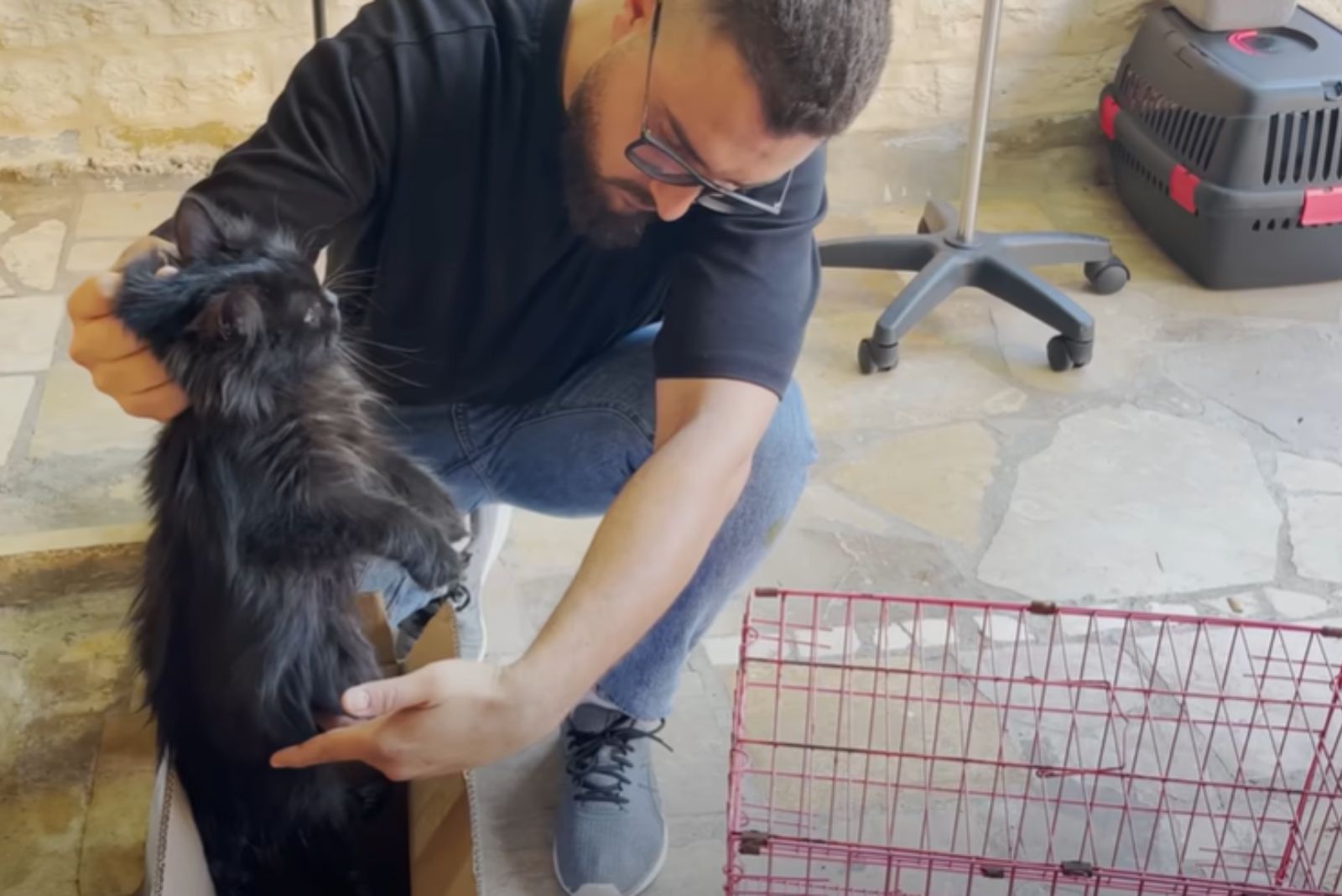 man putting cat in the cage