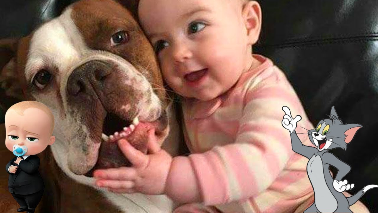 Two dogs devotedly taking care of and protecting a 1-year-old baby like a brother when his mother was away have touched millions of people. /1 - Nine Thousand Years