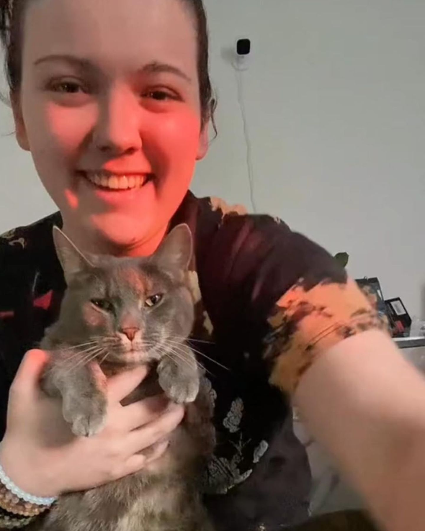 woman holding gray cat