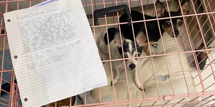 Dogs Left In A Crate With A Heartfelt Note