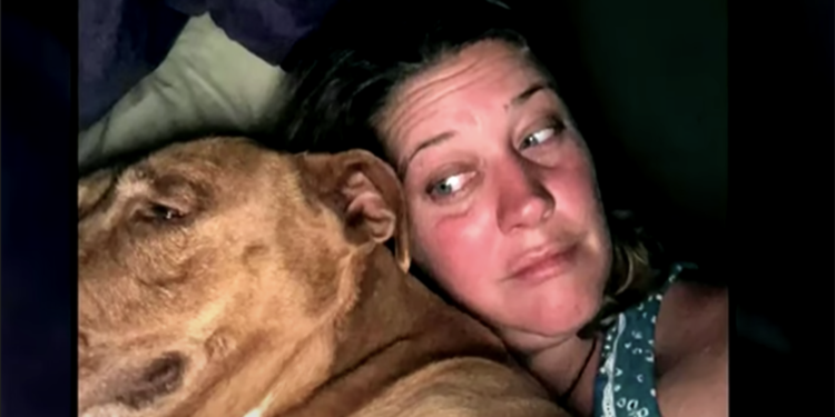 Couple Wakes Up And Finds an Unknown Dog Cuddled in Their Bed