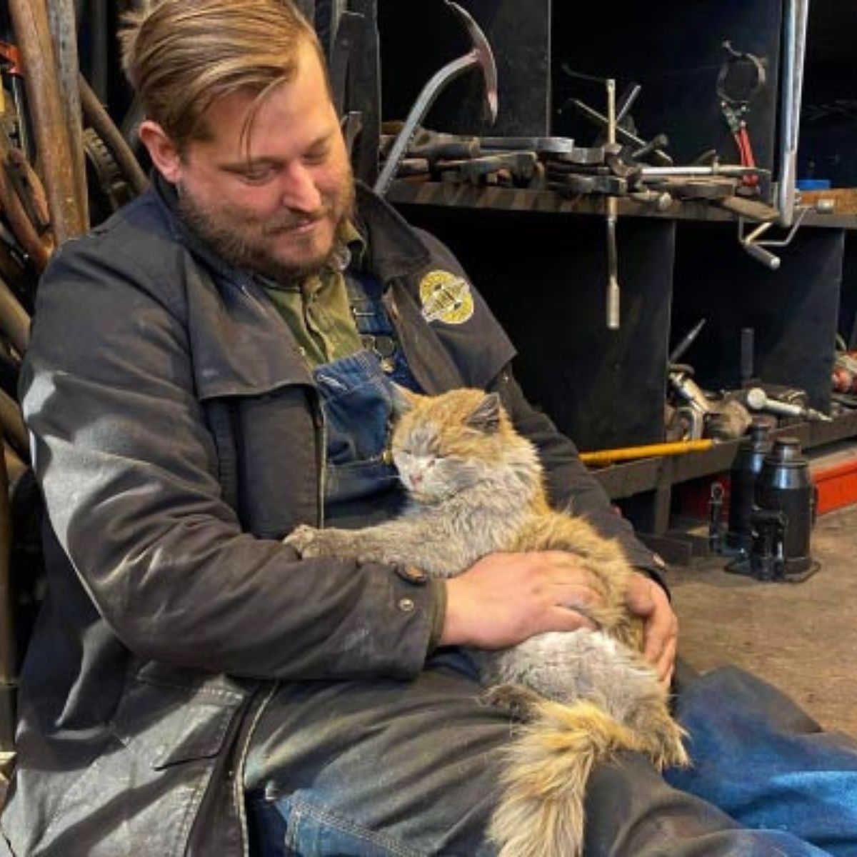 cat in man's lap