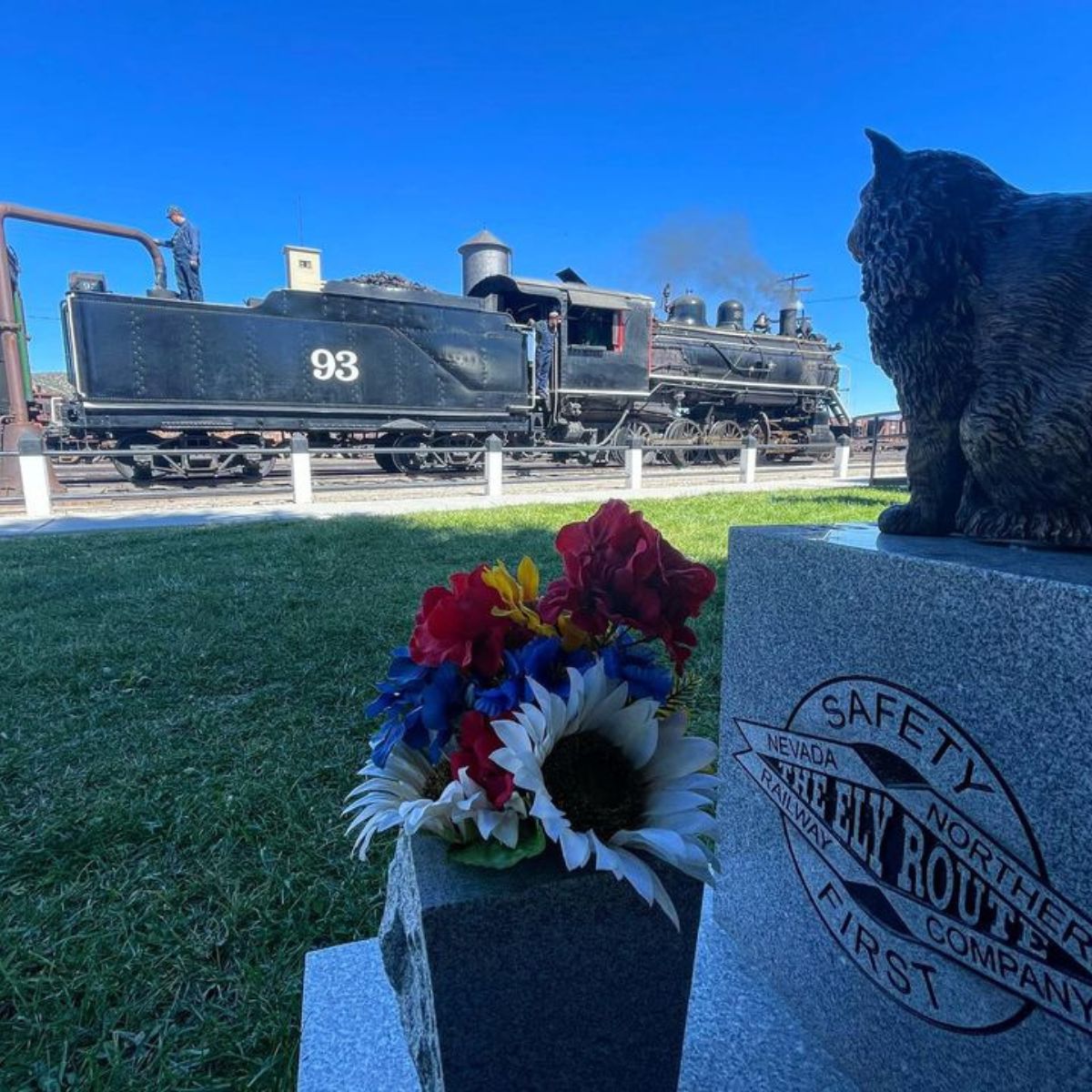 cat looking at train